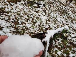 A natureza exuberante, além de cenários com neblina, geada e neve, fenômenos atípicos. Acumulo De Neve E Registrado Em Sc Pela Primeira Vez Em 2018 Fotos Santa Catarina G1