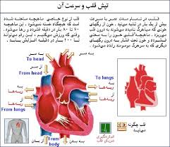 تصویر مرتبط