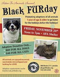 Great Idea For My Shelter I Make When I M Older Pet Event Dog Rescue Fundraising Pet Adoption