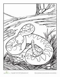 Use this lesson in your classroom, homeschooling curriculum or just as a fun kids activity that you as a parent can do. Rattlesnake Worksheet Education Com Coloring Pages Snake Crafts Snake Drawing