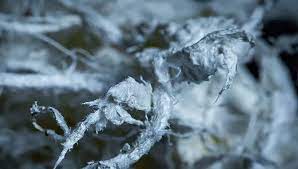 The average mesothelioma settlement payout ranges between $1 million and $1.4 million. Mesothelioma Asbestos Lawsuit Payout Claims After Death Consumer Protect Com 2020