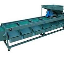 Olive Grading Machines
