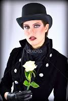 Stock Image Search Results