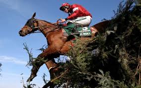 The strongest grand national favourite for many years. Lou7 Owdfmfkam