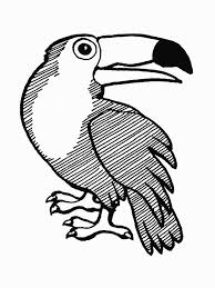 4.7 out of 5 stars. Rainforest Animals Line Drawing Novocom Top