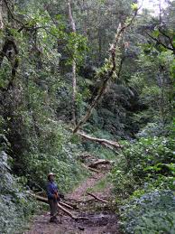 El parque nacional santa fe se ubica en la cordillera montañosa de veraguas en panamá. Elevation Of Santa Fe Panama Topographic Map Altitude Map