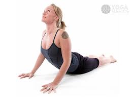 Cobra will invigorate you energetically as well. Cobra Pose Bhujangasana Instructions Photos Yoga Basics