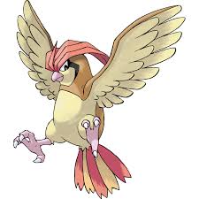 For boys and girls, kids and adults, teenagers and toddlers, preschoolers and older kids at school. Pidgeotto Pokemon Bulbapedia The Community Driven Pokemon Encyclopedia