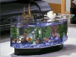 ♥ cetak acrylic model lentur & model plat / kaku untuk membuat aneka macam : Aneka Model Aquarium 14 Jenis Ikan Hias Terindah Yang Mudah Dipelihara Di Aquarium Mamikos Info Hiasan Aquarium Dari Bahan Plastik Adalah Salah Satu Contoh Dekorasi Aquarium Yang Paling Populer Dan