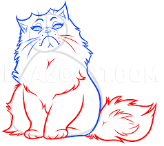 You can add details like tufts of fur or a collar before coloring in the drawing. How To Draw A Persian Cat Step By Step Drawing Guide By Dawn Dragoart Com