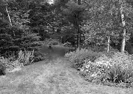 Additionally, when you purchase, all future updates to the guide are free. Establishing And Caring For An Organic Lawn Maine Organic Farmers And Gardeners