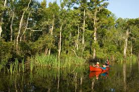 Rv rentals are available all over the country! The 6 Best Kayaking Spots In Mississippi