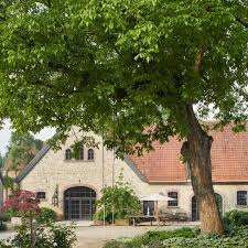 Walnussbaum Auf Dem Gutshof Haus Aussendesign Gutshof Anwesen