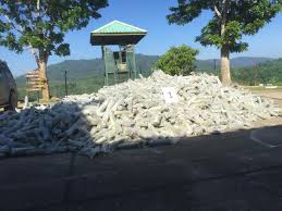 Ternak dan pupuk organik yang kemudian terakumulasi di sungai juga turut meningkatkan kadar. Atm Rampas Daun Ketum 4 Warga Asing Ditahan