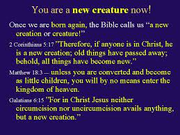 They know who they are, why they are alive, and what will happen to them when they die. What Is Born Again Can Someone Be Born
