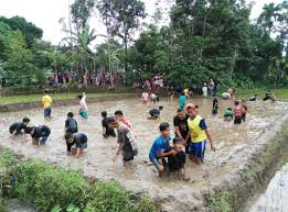 Lomba Ngemek Iwak Cara Banyuwangi Membudayakan Budidaya Ikan Mina Padi