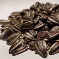 Sunflower husk manufacture from russia where are sunflower husk made Romanian Sunflower Seed Suppliers Manufacturers Wholesalers And Traders Go4worldbusiness Com Page 1