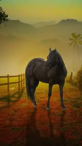 We did not find results for: Nice Horse Horses Farm Nature Animal Fog Hd Mobile Wallpaper Peakpx