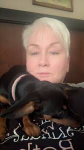 #fyp #foryou #dachshundsoftiktok #dachshundpuppy