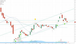 Myo Stock Price And Chart Amex Myo Tradingview