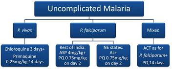 Treatment Of Malaria Malaria Site