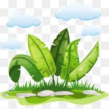 Vector Natural Jungle Landscape Nature Clipart Natural Jungle View Jungle Png Transparent Clipart Image And Psd File For Free Download Vector Landscape Nature