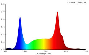 We did not find results for: What Bulb Is Best For Flowering Grow Light Info