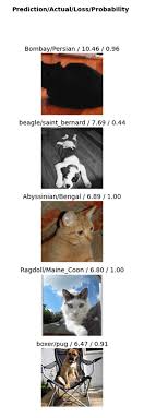 Pug pic 10 80 px 10 80 px : Introduction To Deep Learning With Fastai This Is Why Deep Learning Can Work For Everyone