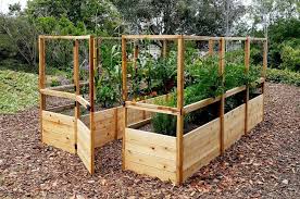 I can still hear my mom whipping open the sliding door and clapping her hands to scare them away from our tomatoes. Garden Deer Fence Raised Garden Bed Outdoor Living Today