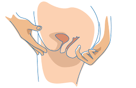 Here's your complete guide to fingering women. Anal Training An Illustrated Guide School Of Squirt