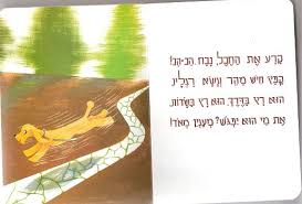×ª××¦××ª ×ª××× × ×¢×××¨ ××× ×¤××××
