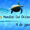 8 de junho é o dia mundial dos oceanos. Https Encrypted Tbn0 Gstatic Com Images Q Tbn And9gcs Duqbi10z Gnmropr3s Yruezauldo89xreewuoybapltujj Usqp Cau