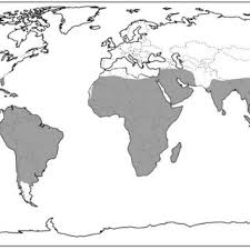 Whatever you do, the guild name plays an important part in the process. Pdf Ecology Of Acacieae