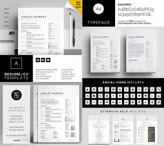 20+ Professional MS Word Resume Templates With Simple Designs
