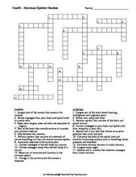 Nervous System Crossword Puzzle Nervous System Peripheral Nervous System Nervous