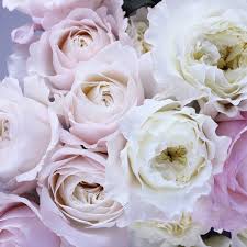 Leafy home to the city's elite, the upper east side is a place for pastry, pearls and pocket squares. Rosa Rosa Flowers Upper East Side New York Ny