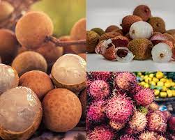 Lychee is also known as alligator strawberry for its red, bumpy skin. Rambutan Vs Lychee Vs Longan Similarities And Differences The Roaming Fork