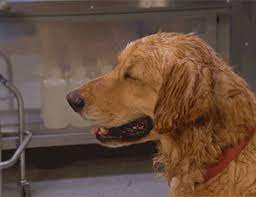 Here's The Hottest Porn For Women On The Internet Here's The Hottest Porn  For Women On The Internet