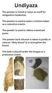 Image result for Bersama lucens