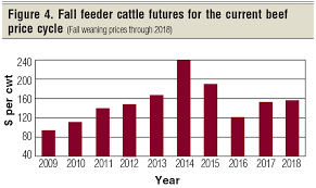 2019 Marketing Projections For Your 2018 Calf Crop Beef