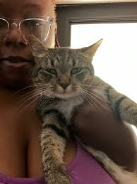 Missing dog found around Firetower Rd