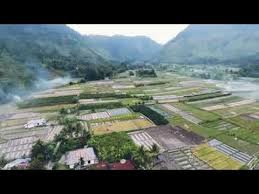 Check spelling or type a new query. Lirik Lagu Taringot Au Tongam Sirait Youtube