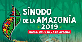 Resultado de imagen de sinodo amazonia 2019