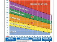 Expository Heart Rate Chart Pdf American Heart Association