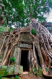 Bishop Museum Of Science And Nature Jobs La Maravilla De Un Lente Gran Angular Foto Con Un Lente 14 Mm Angkor Wat Cambodia Via Ricksammon Gran Angular Lente Gran Angular Fotos
