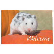 Black And White Syrian Hamster For Sale Cute Syrian Hamster White Black Spot Funny Welcome Doormat Zazzle Com Syrian Hamster Funny Animals Animal Pillows