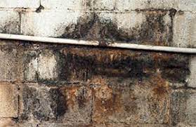 Check spelling or type a new query. Efflorescence Basement Leaks Wet Basement Walls