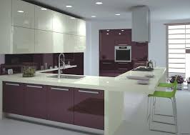 2019 Kitchen Trends Materials Colors Elements To Expect Aluminum Kitchen Cabinets Glossy Kitchen Custom Kitchen Cabinets Design