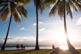 The Port Douglas Artists Treehouse Home Facebook