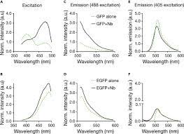 The camel igg presented as two bands with molecular masses of 250 and 100 kda, the latter corresponding to heavy chain igg, on 10% gel a peak of antibody (igg) could be obtained by elution with sodium phosphate buffer. Influence Of Nanobody Binding On Fluorescence Emission Mobility And Organization Of Gfp Tagged Proteins Sciencedirect